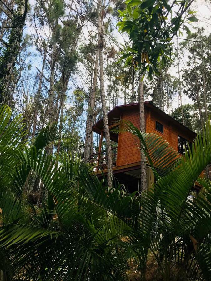 فندق Casa De Arbol, Rancho Tierra Alta جاراباكو المظهر الخارجي الصورة