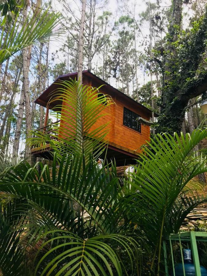 فندق Casa De Arbol, Rancho Tierra Alta جاراباكو المظهر الخارجي الصورة